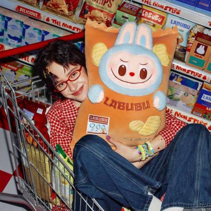 LABUBU Pillow (Chips) – THE MONSTERS Wacky Mart Series